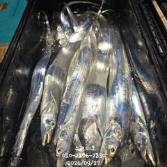 왕갈치 풍성한 조황 자리여유 있어요^^ 사진