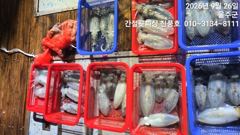 26.간절곶피싱 야간무늬.문어조황 입니다 사진