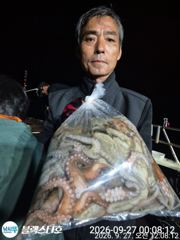 [사천] 오늘야간문어 출동합니다 11자리여유 사진