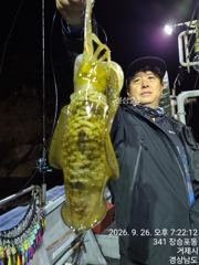 [진해] 무늬오징어 팁런 이젠 씨알이 묵찍 합니다 ᆢ 오늘 5자리 가능.… 사진