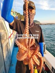 27일, 군산문어 덩치급 문어가 춤추네요~ㅎㅎ~오늘도 굿~실시간~군산낚시프라자 챔피언호 사진