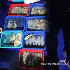 (내만 팁런)무늬 마릿수 OK 1.8K 갑이도~스마일호(오늘 예약) 사진