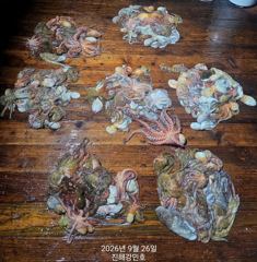 (문어)연일 초~대박 장원 33수 세 자릿수는 우습게~강민호(28일 예약) 사진
