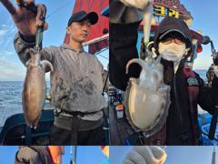 <크라운호> 갑오징어 실시간 조황(27일) 사진