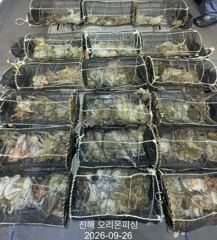 [진해] 야간문어!KK급 사이즈들포함 손맛 제대로 보고 왔습니다 ~내일예… 사진
