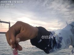 27일,군산 쭈꾸미 갑이 싸이즈 굿굿~실시간~군산낚시프라자 그랜드호 사진