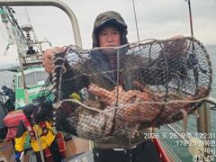 [진해] 26일세진호/돌문어빗속에kg.마릿수~월.가능~ 사진
