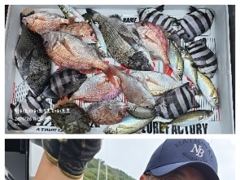 [거제] 어초ㆍ여밭감성돔 46.42.41 터지고 뺀찌 타작~ 사진