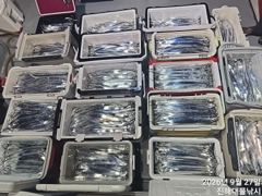 [진해] 27일새벽,내만칼치~3지까지 텐빈1타1피 폭풍입질 퍼담고~월,화… 사진