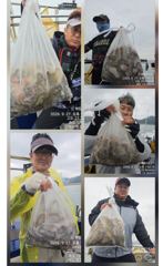 [사천] (((해림3호)))금일 씨알 조항입니다 사진