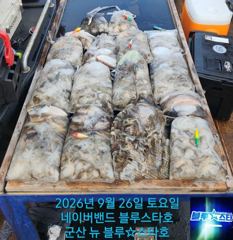 ★★ 9 / 26 [군산 대일피싱] 뉴 블루스타호 쭈꾸미 조황 내일 5자리 있습니다. 사진