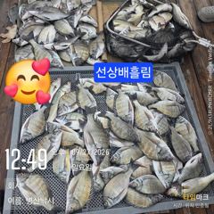 병산 감성돔44외 엄청마리수 선상배 및 선외기흘림조황~~ 사진