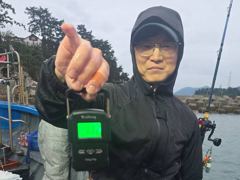 [진해] 돌문어주,야간1,3k급외바글바글살림망묵~직손맛장!!!