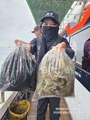 [사천] 27(일) 왕쭈 조황 좋습니다 "평일/주말 쭈욱 예약중입니다^^ 사진