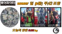 9/27 일 [8물] 쭈꾸미/갑오징어 조항 입니다. 사진