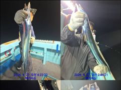통영백가피싱) 간밤 먼바다 왕갈치 조황 입니다. 사진