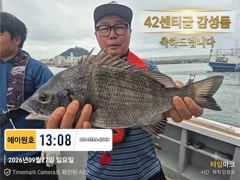 [부산] 감성돔선상! 42cm감성돔외 마리수 사진