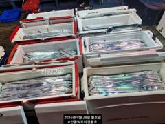 경동호 외줄 16석씨알좋아요.쿨러조항~오늘 월화수쭉예약가능 사진