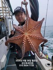 27일, 군산문어 싸이즈 좋은 덩치급 문어들~이어지있어요~실시간~군산낚시프라자 포세이돈호 사진